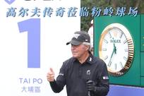 内的声誉大